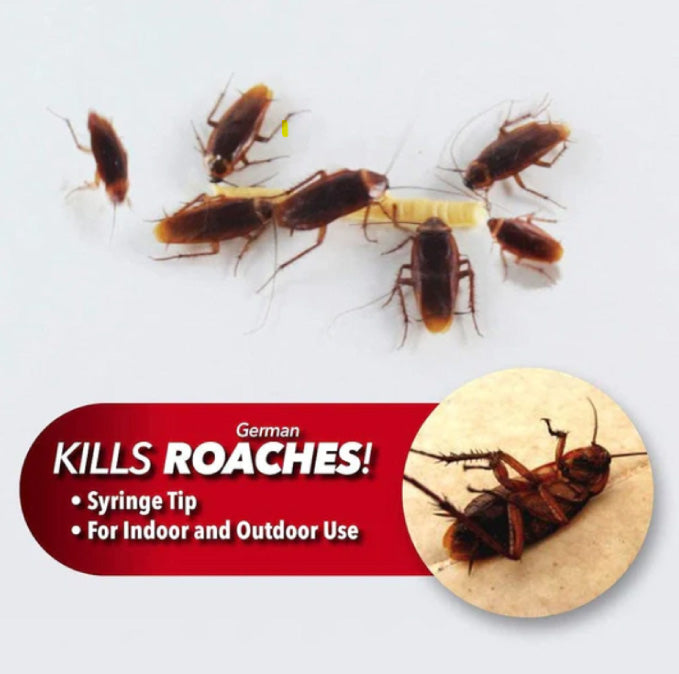 Original Cockroach Gel 36 Pieces